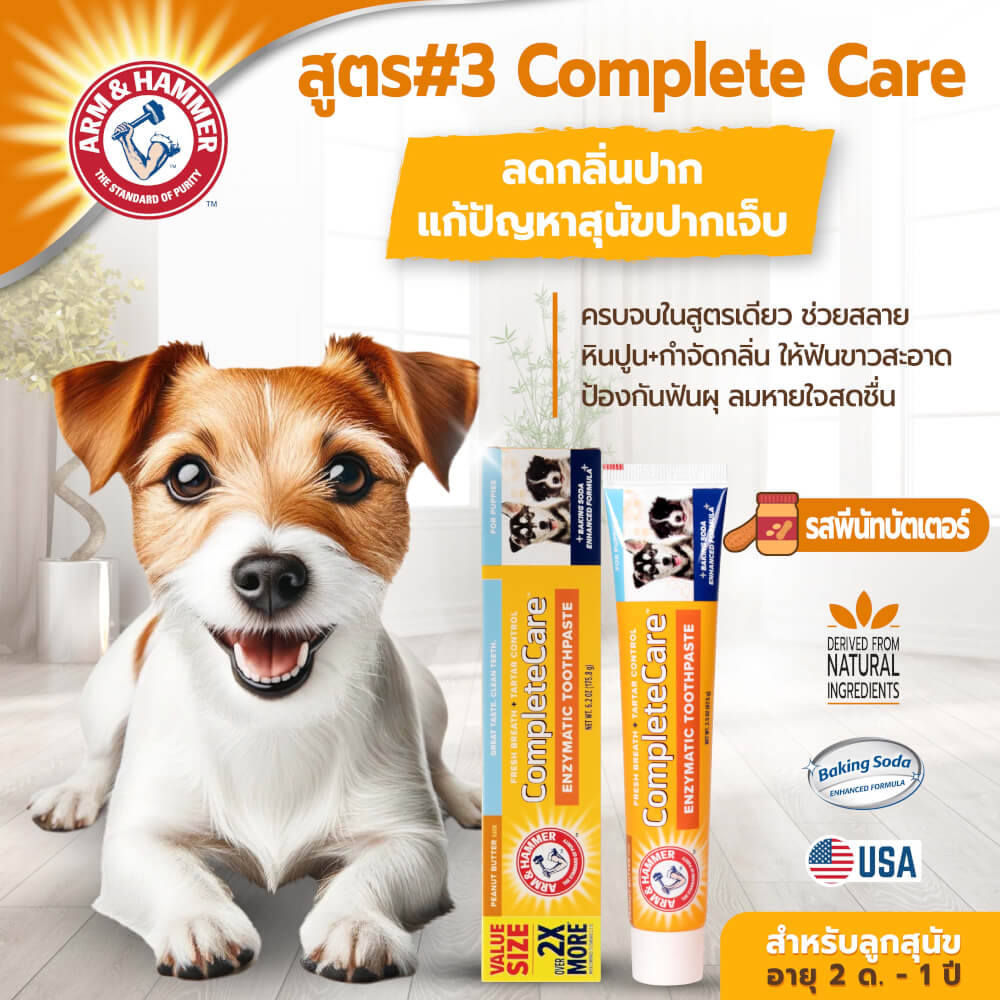 ยาสีฟันสำหรับสุนัข Arm and Hammer FB รสพีนัทบัตเตอร์ จัมโบ้ไซส์ ขนาด 175.8 กรัม (ไม่มีแปรง)